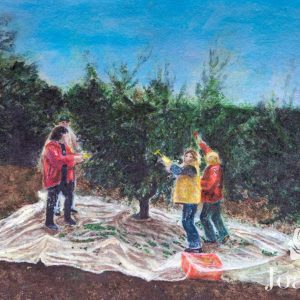 Raccolta delle olive in Toscana - Pittura - Joanne - Campiglia Marittima